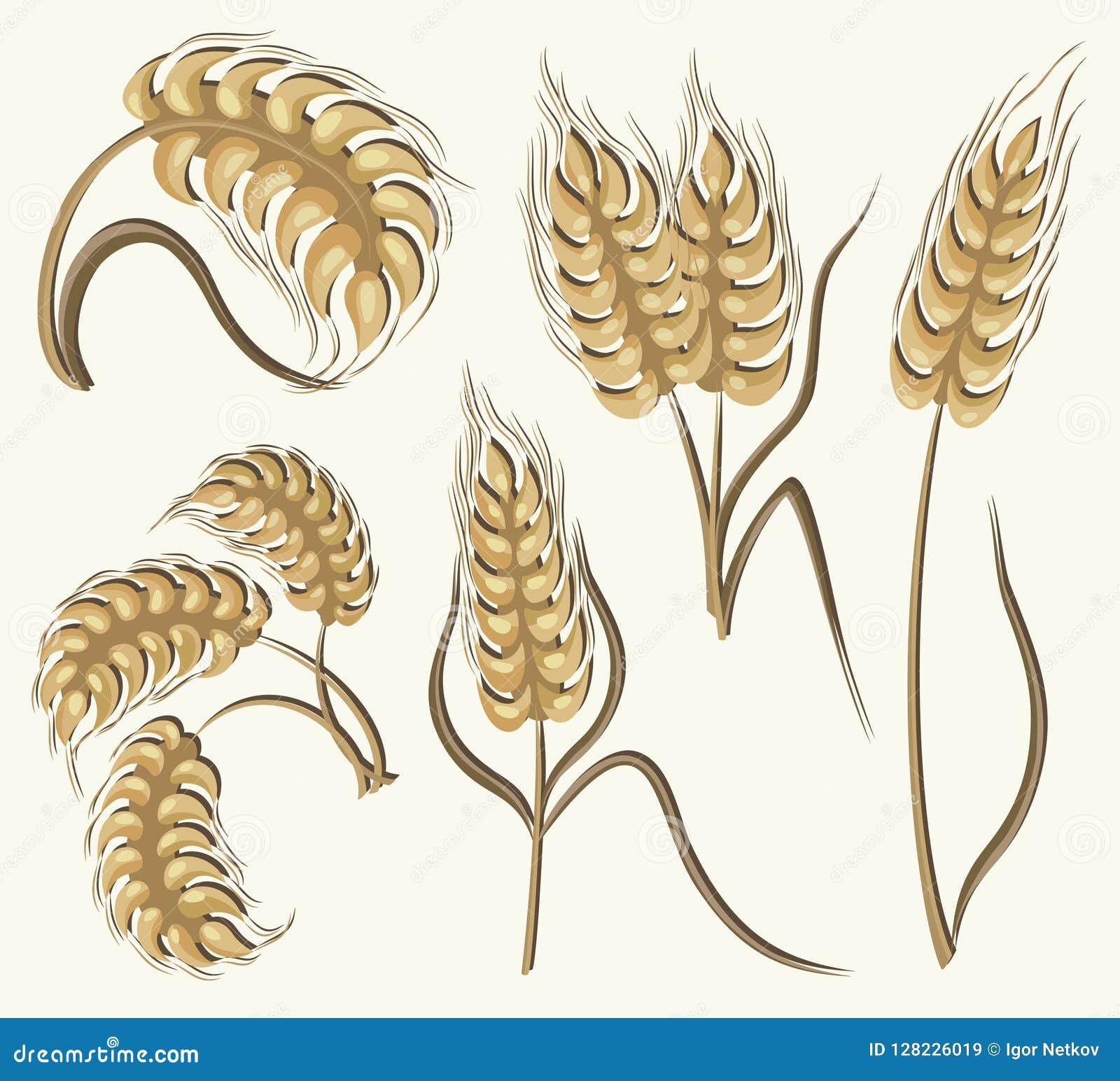 Set of Simple Wheats Ears Icons Stock Vector - Illustration of golden ...