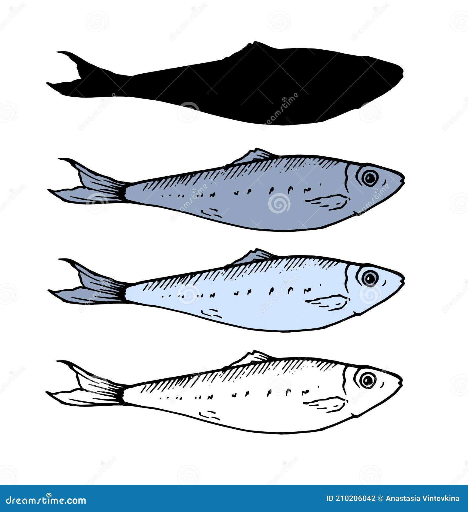 color pencil drawing of small fish with big eyes Stock Vector Image  Art   Alamy