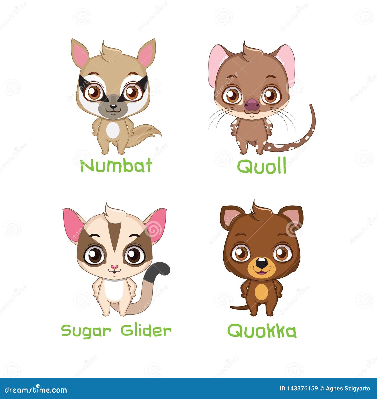 Set of Small Marsupial Animal Species Stock Vector - Illustration of sugar,  animal: 143376159