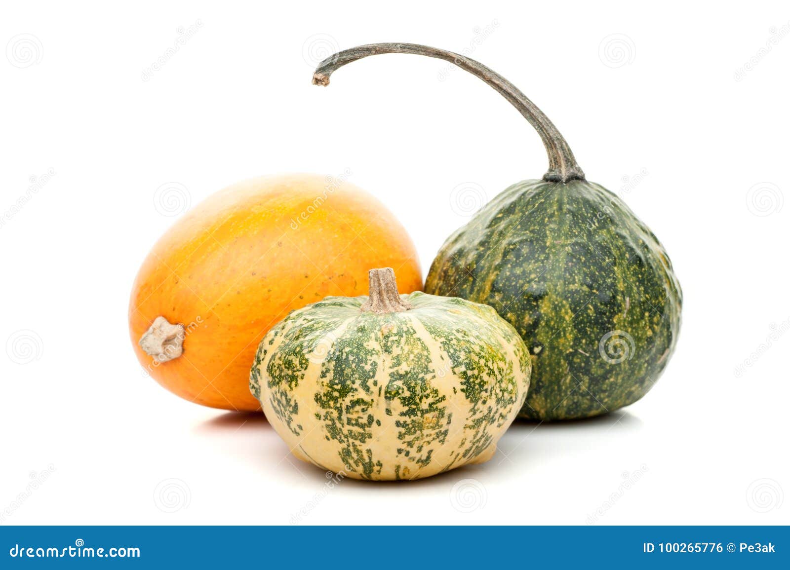 Set of Small Pumpkins Isolated on White Background Stock Photo Image