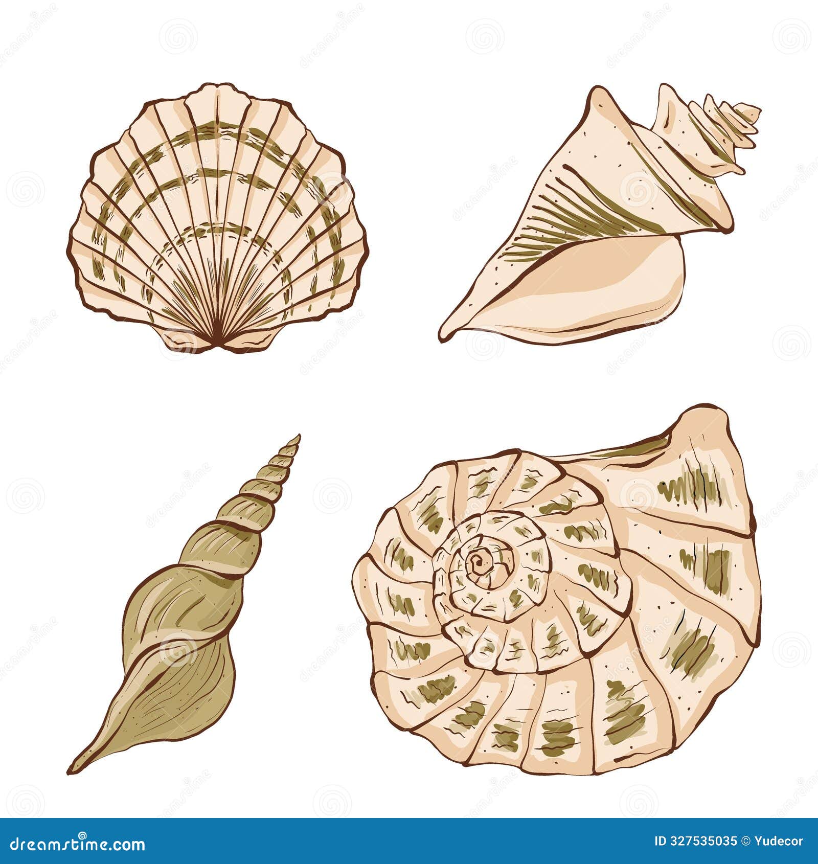 set of spiral shell. underwater world. hand drawn graphic  of flat style.  on white background for