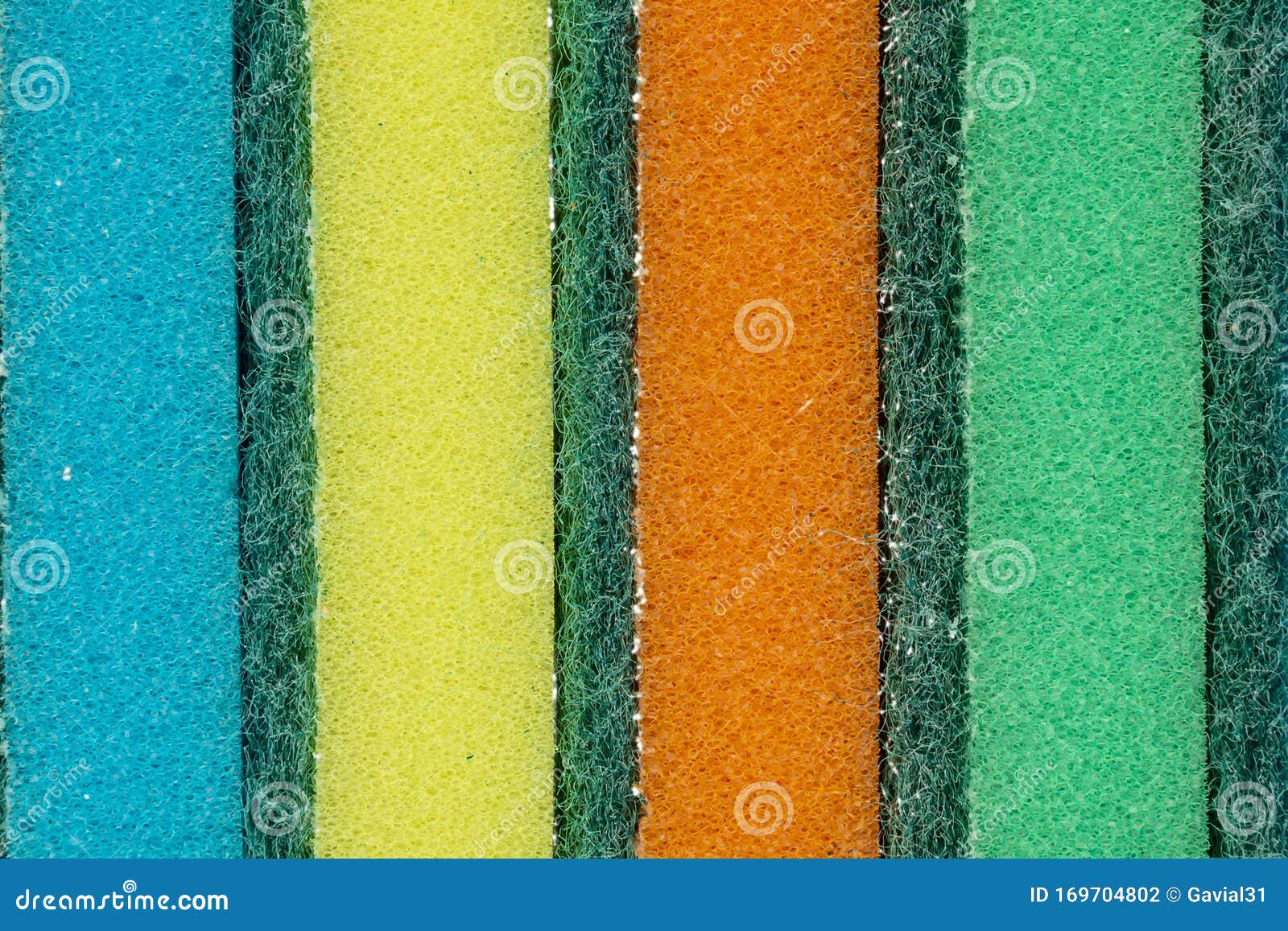 Set of Sponges for Washing. Closeup Stock Photo Image of group