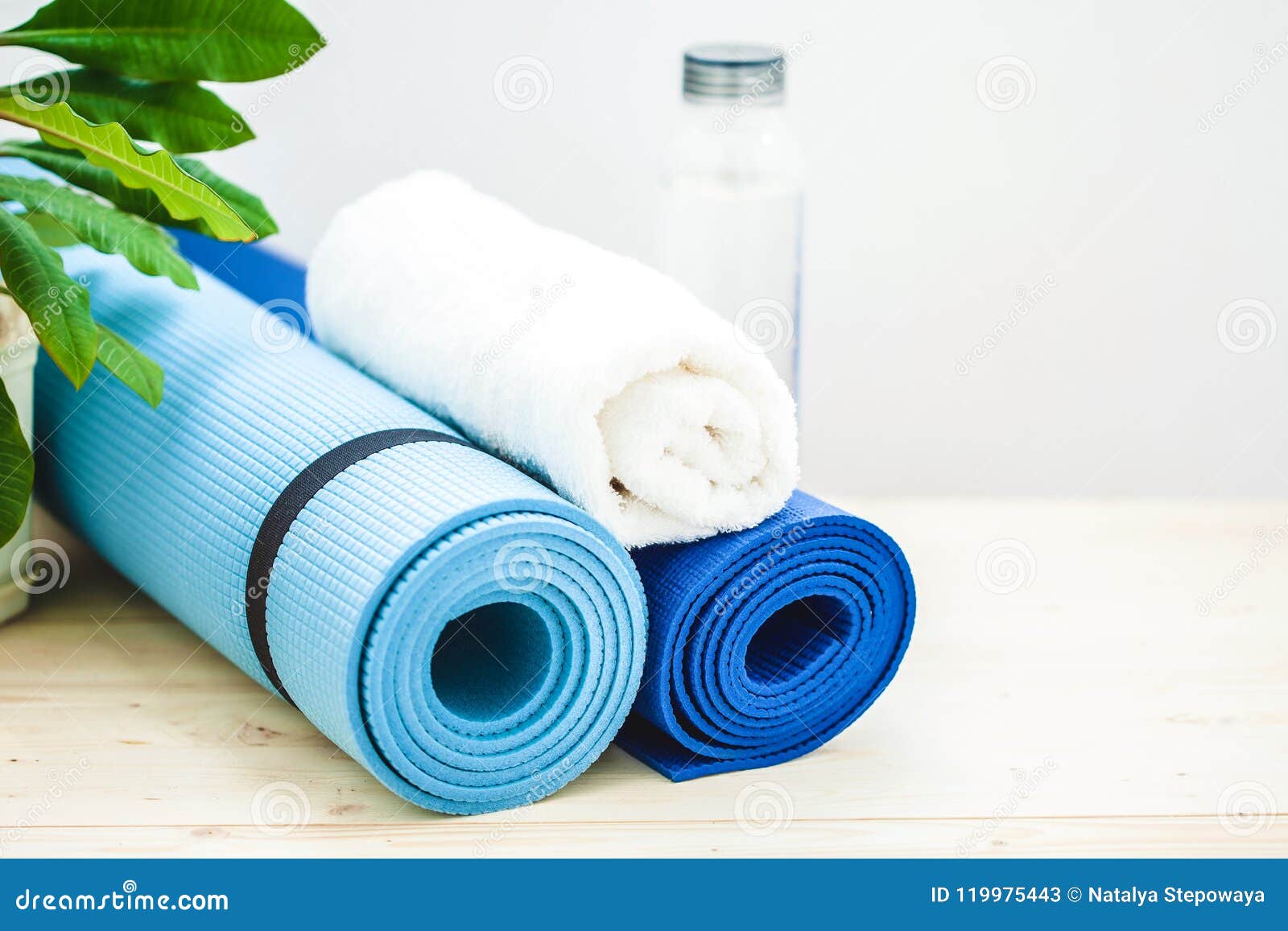 Set for Sports, a Yoga Mat, a Towel, a Bottle of Water on a Light  Background. the Concept of a Healthy Lifestyle. Copy Space Stock Image -  Image of green, closeup: 119975443
