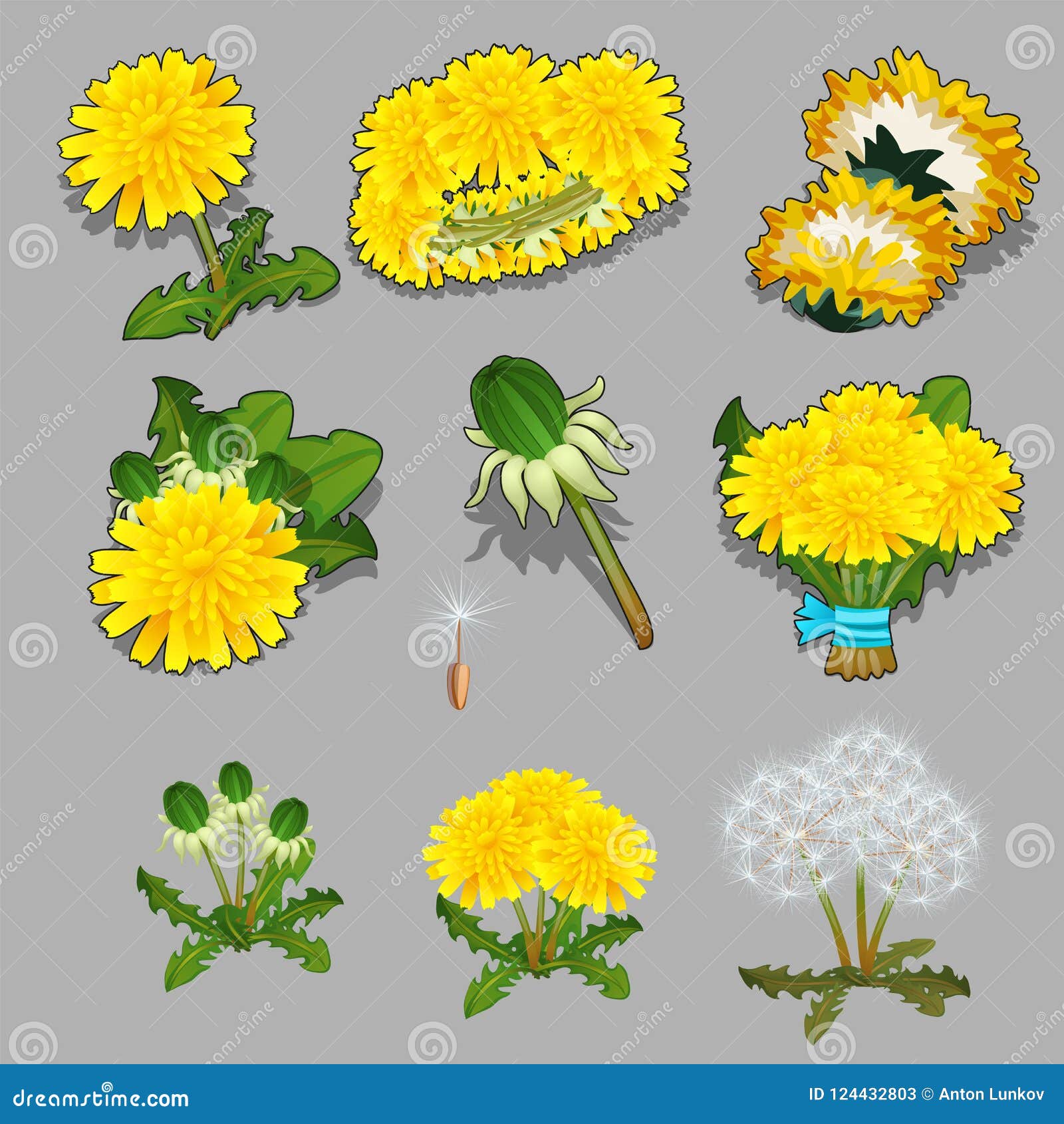 My Image 23