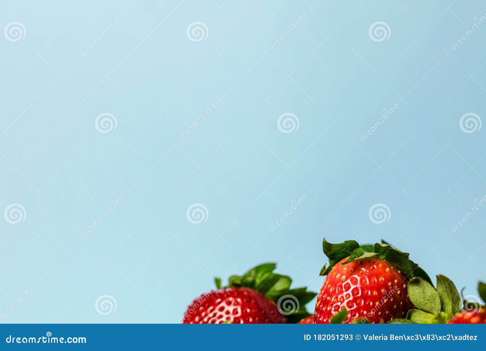 Set of Strawberries on a Blue Background Stock Image Image of