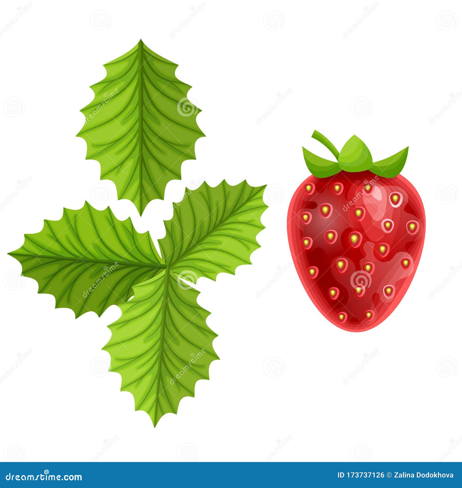White Red Adult Size Cartoon Style Strawberries on White Background Fresh Fruit Pattern Image Lunarable Spring Apron Unisex Kitchen Bib with Adjustable Neck for Cooking Gardening