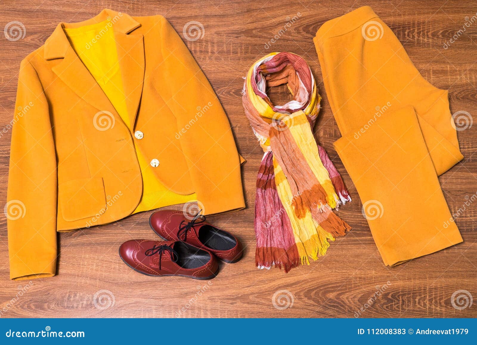 Set of Stylish Female Clothes and Accessories Stock Image - Image of ...