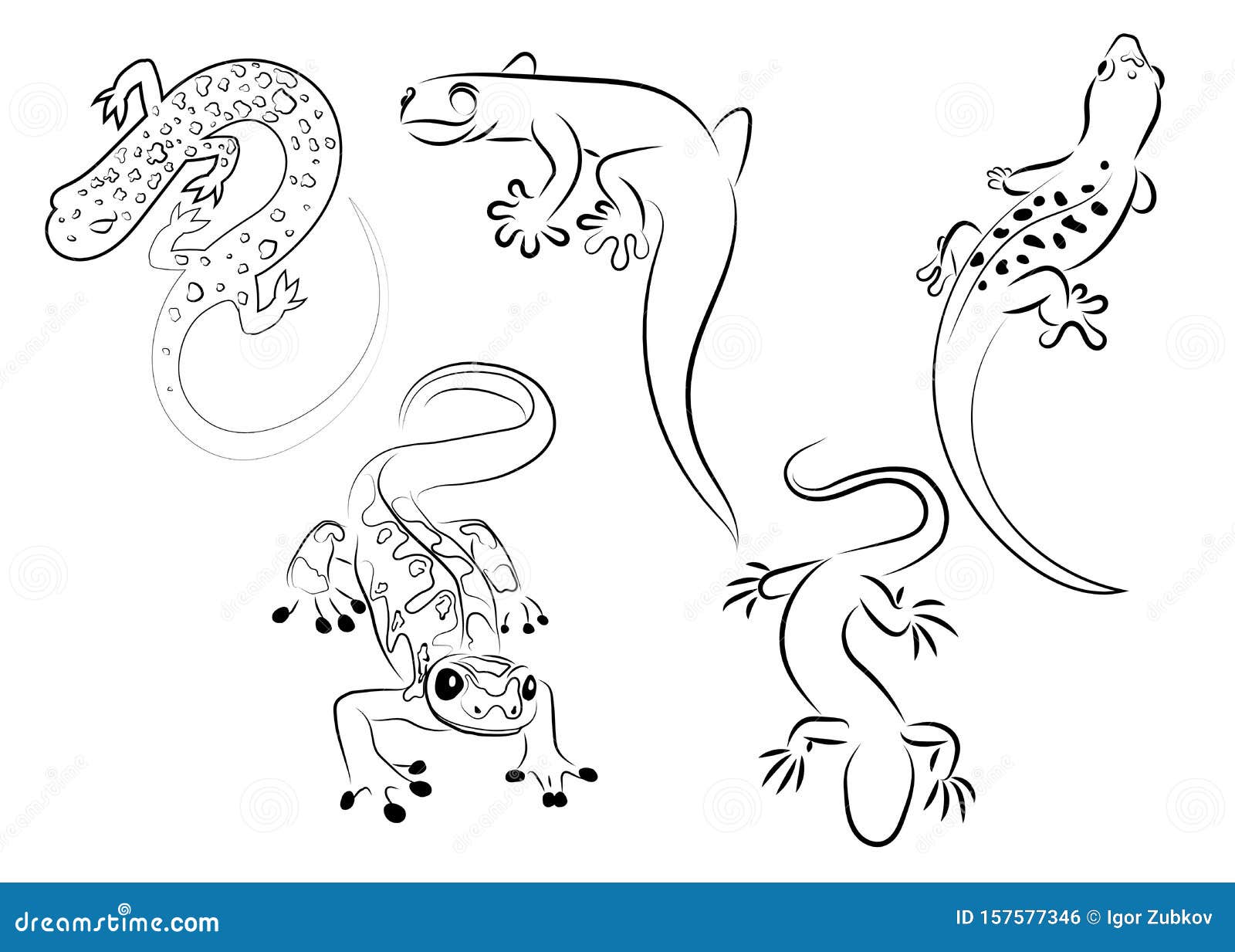 set of stylized lizard. a collection of decorative lizards. black white reptile .  logo lizards