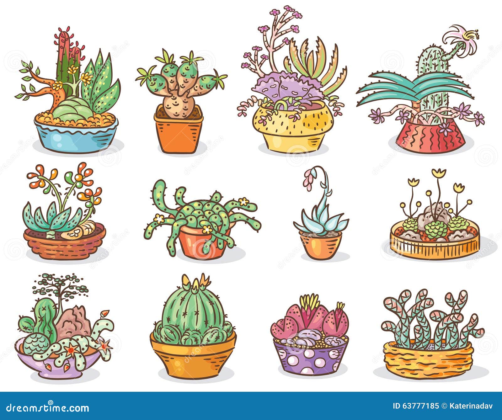 set succulent compositions containers colorful drawing isolated 63777185