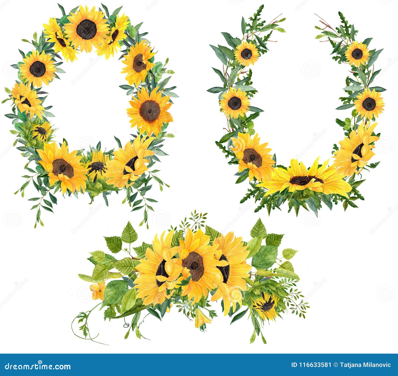Set Of 3 Sunflower Arrangements Wreaths And Bouquet Stock Illustration Illustration Of Botanical Collection 116633581