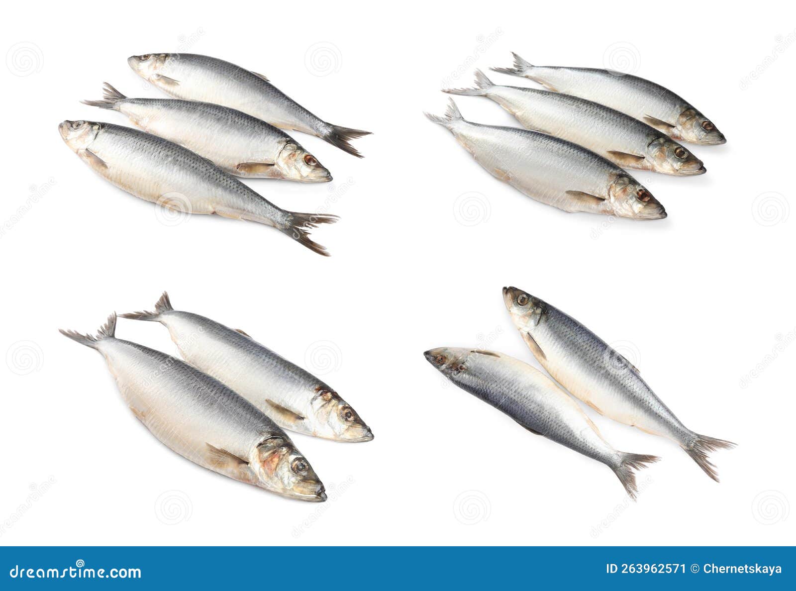 Set with Tasty Salted Herrings on White Background Stock Image Image