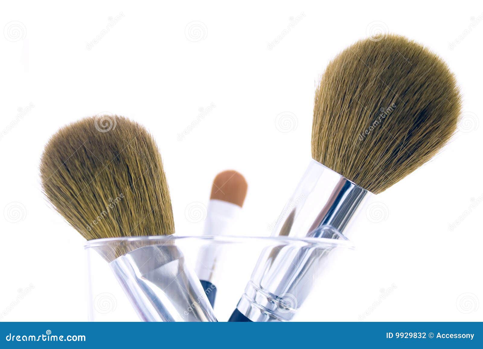 Set Of Makeup Brushes, Brushes For Cosmetics Of Different Sizes