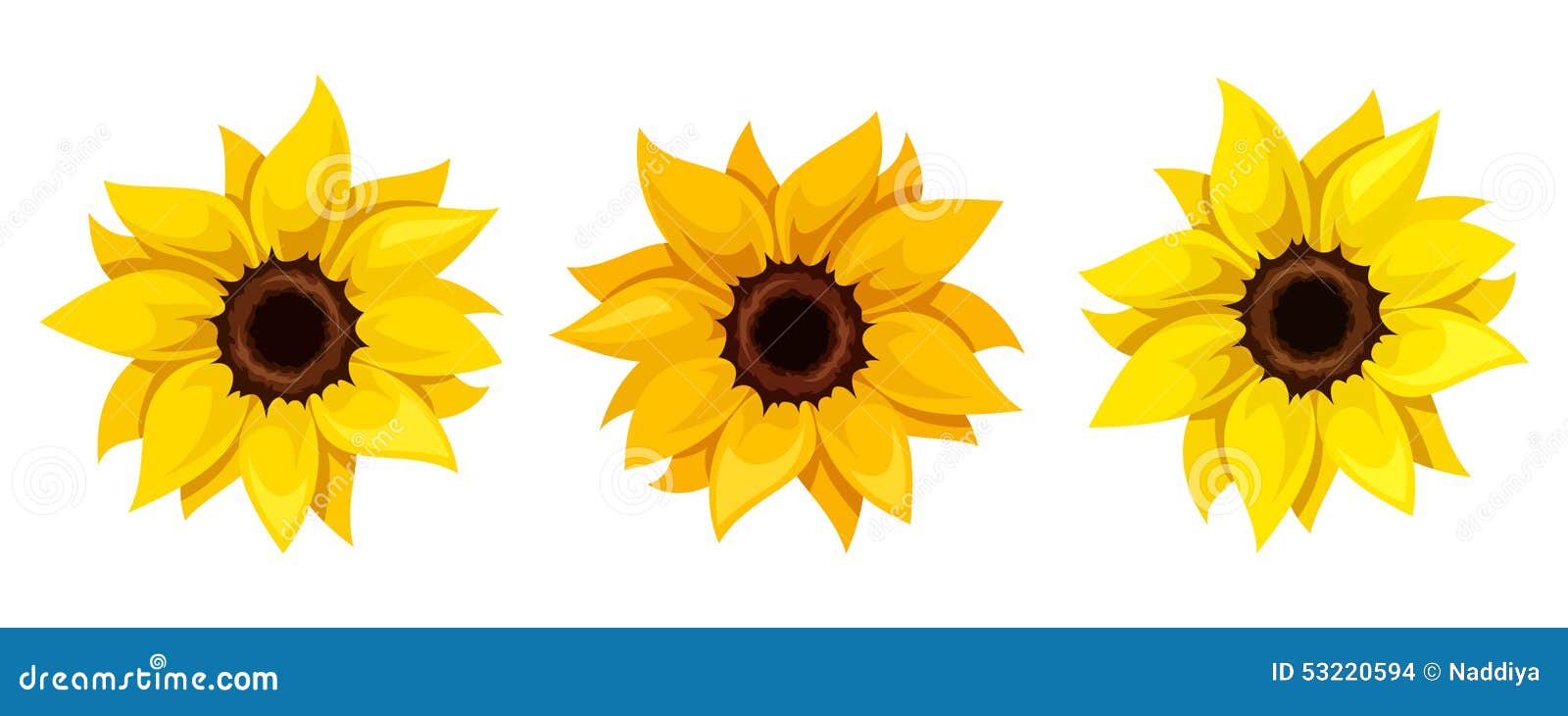 set of three sunflowers.  .