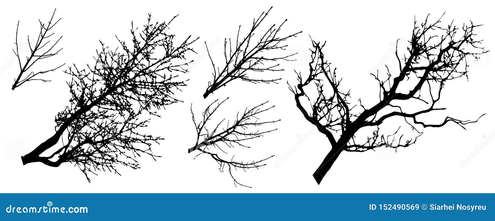set of tree branches silhouettes,  