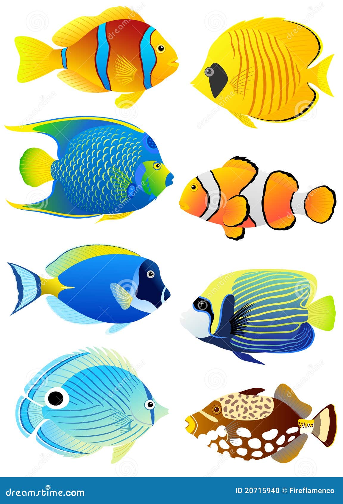 set of tropical fish