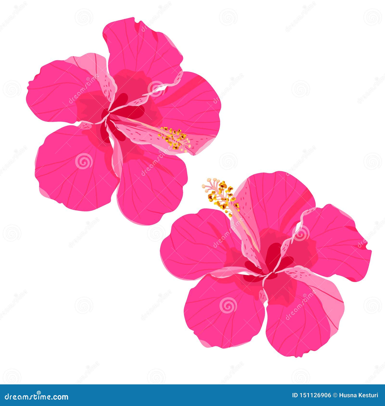 Download Set Of Tropical Flowers Elements. Collection Of Hibiscus ...