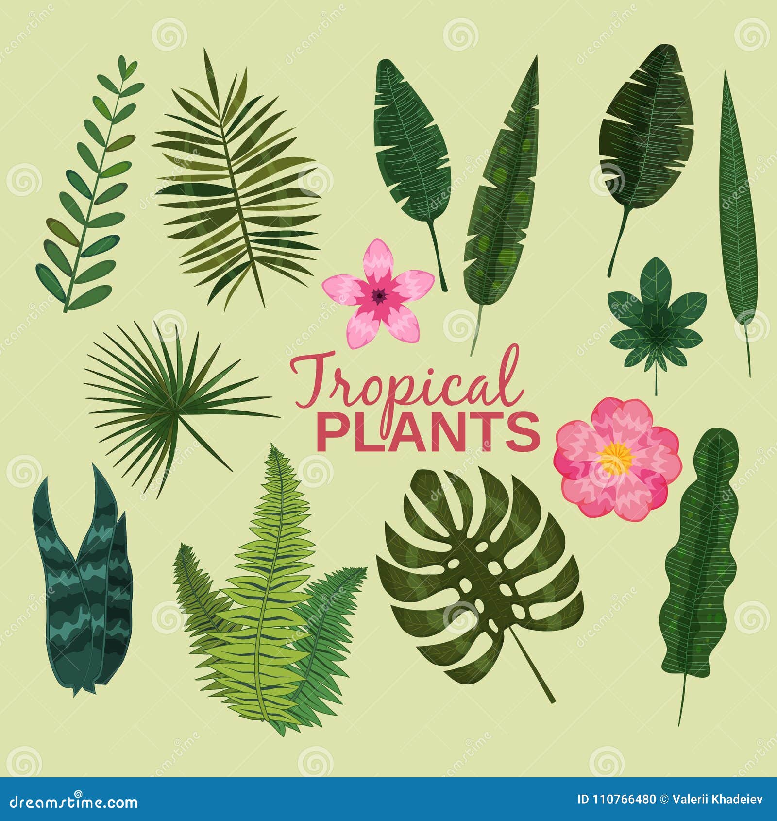 Greenery Art Print Printable Leaf Palm Jungle Plant Tropical Leaf Print Tropical Plant Photo Plant Digital Poster Plant Leaves Photo
