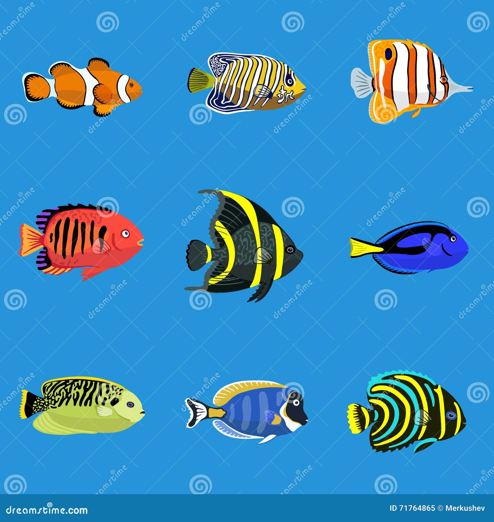 Download Set Of Tropical Ocean Fishes, Vector Illustration Stock Vector - Illustration of water ...
