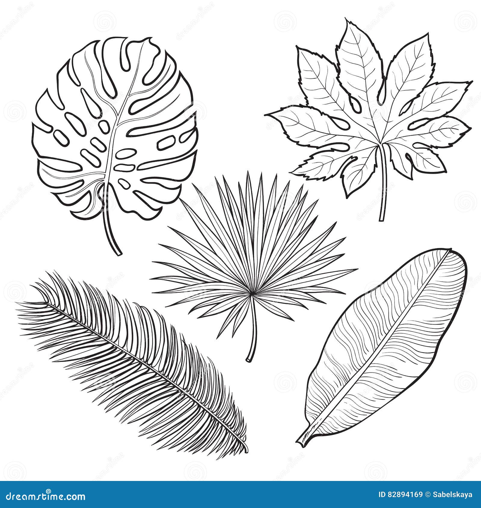 Set Of Tropical Palm Leaves, Sketch Style Vector Illustration Stock