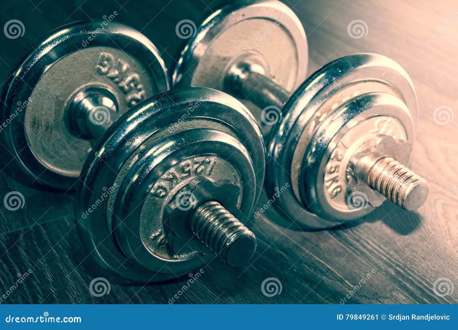 Set of Two Iron Weights on the Gym Floor Stock Image Image of fitness, object 79849261