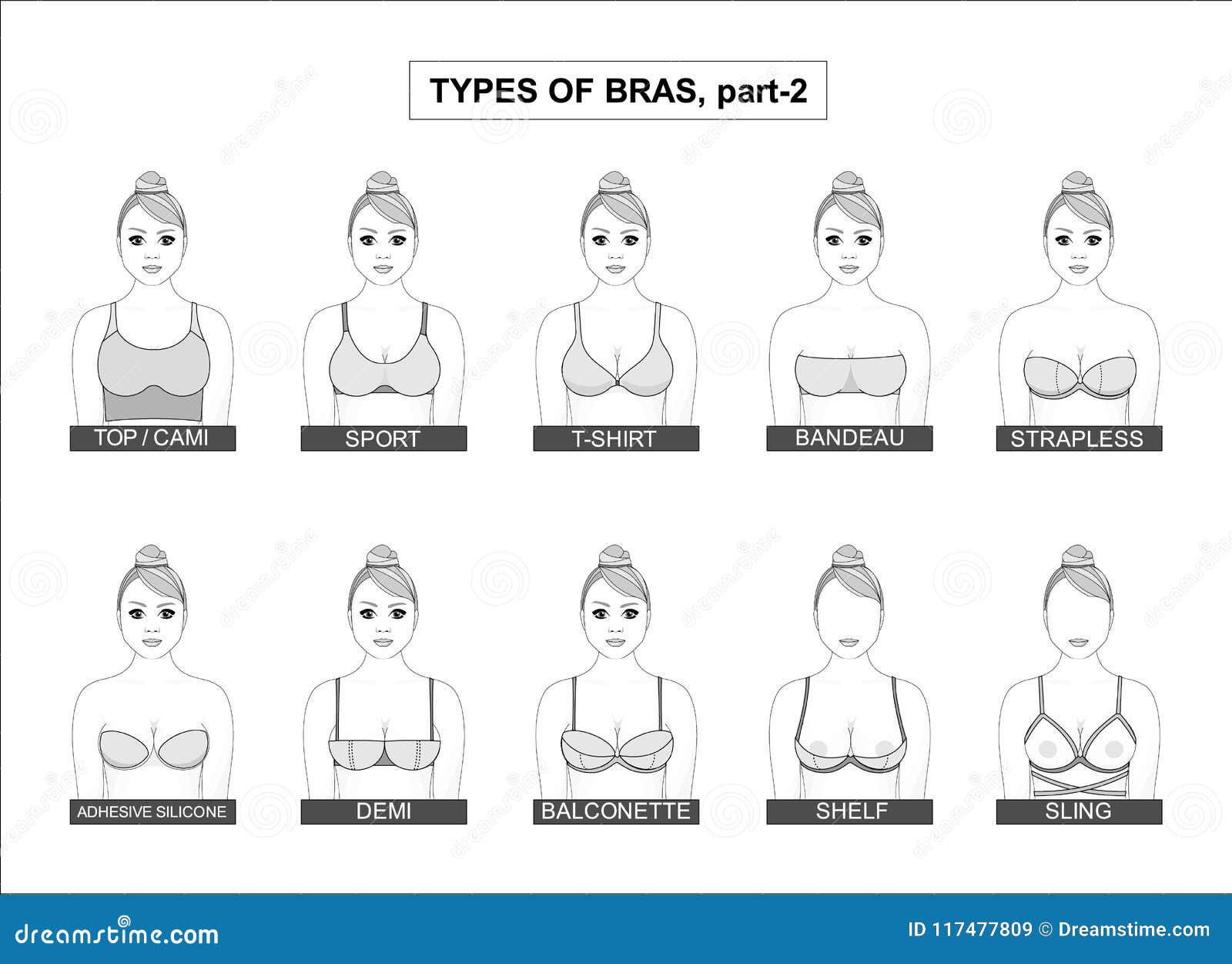 Разновидности женской груди. Форма женской груди картинки. Какие бывают формы женской груди. Контуры типов женской груди.