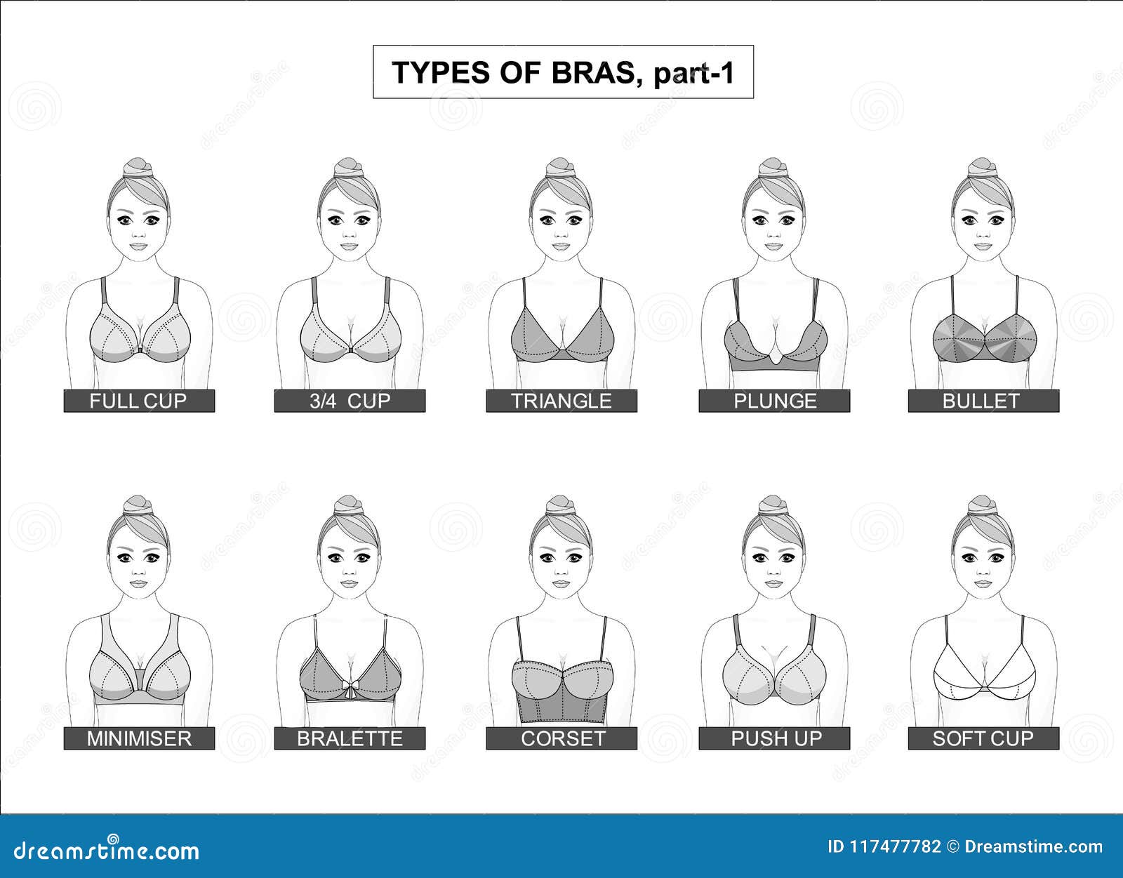 Set of Types of Female Bras Stock Vector - Illustration of flat, brassiere:  117477782