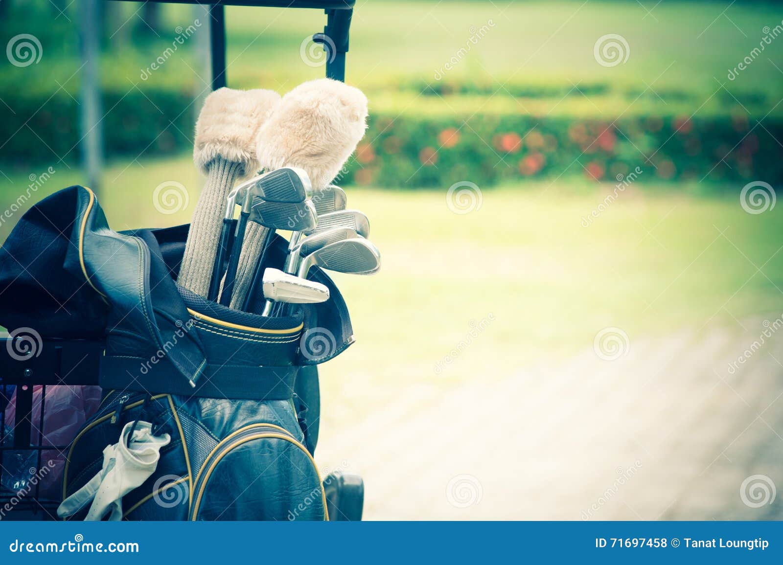 Set Up New Golf Clubs on a Bag Stock Photo Image of outside, golf