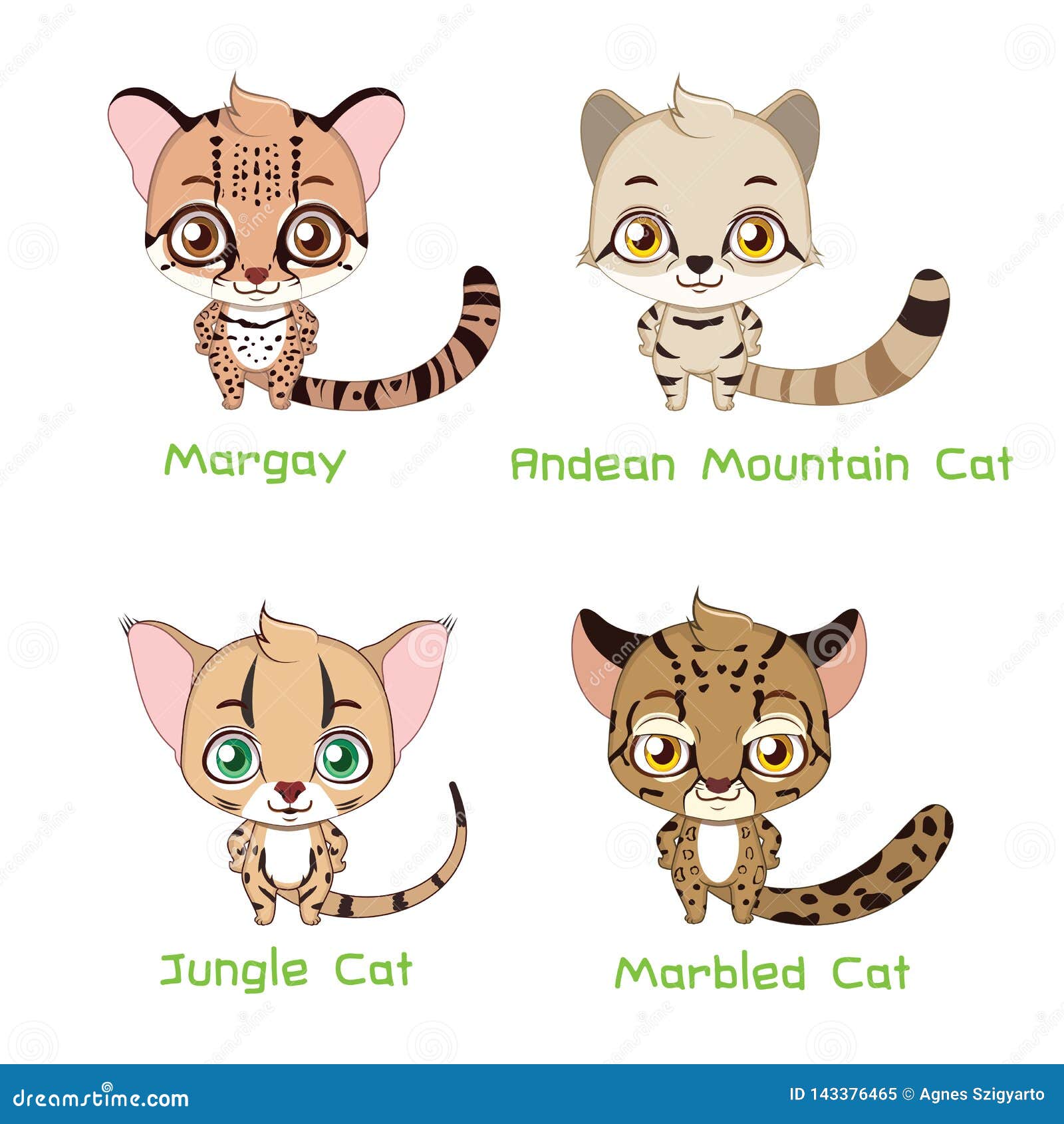 Set of Various Wild Cat Species Stock Vector - Illustration of cartoon,  cute: 143376465