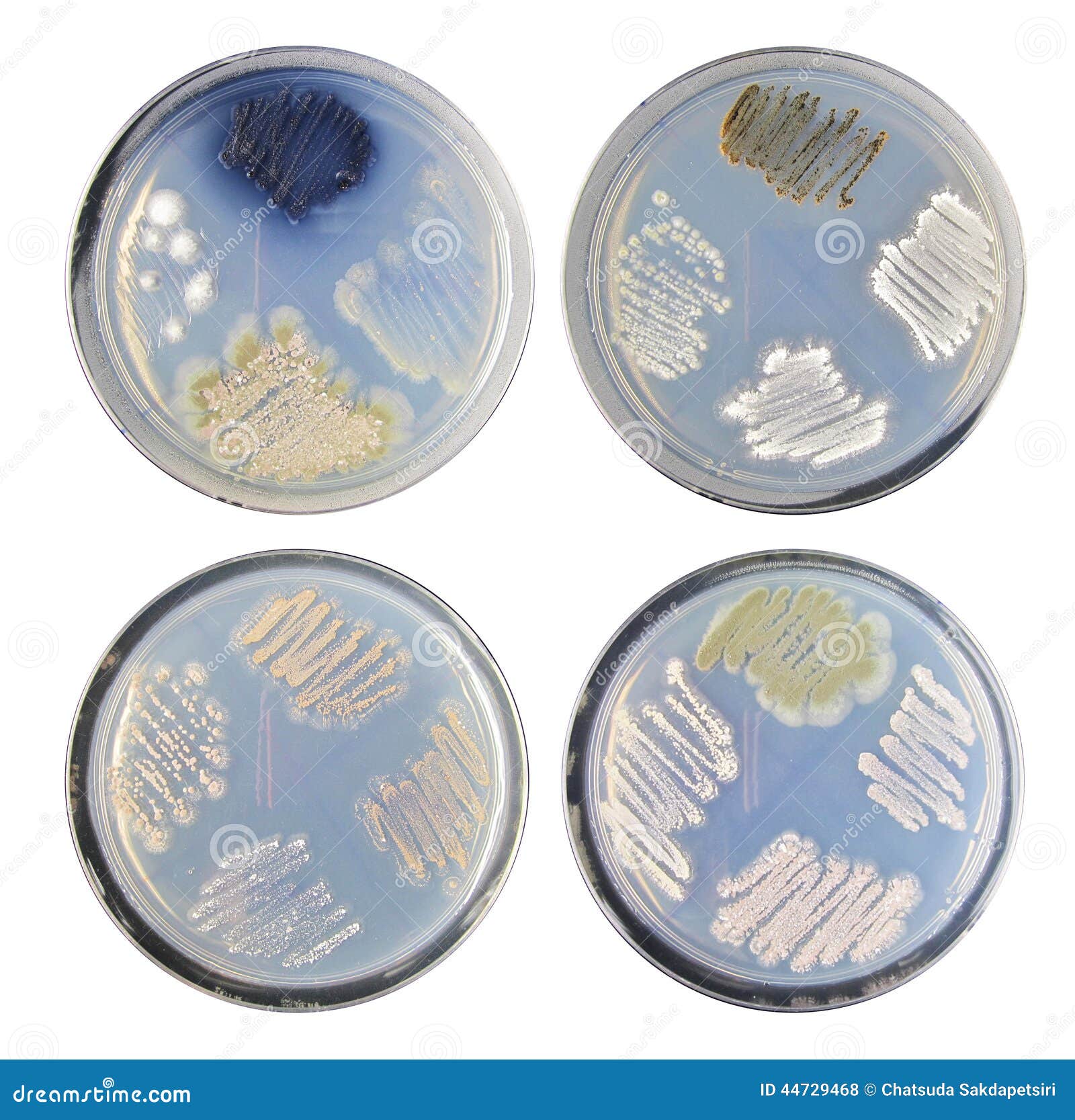 industrial aromatic chemistry raw