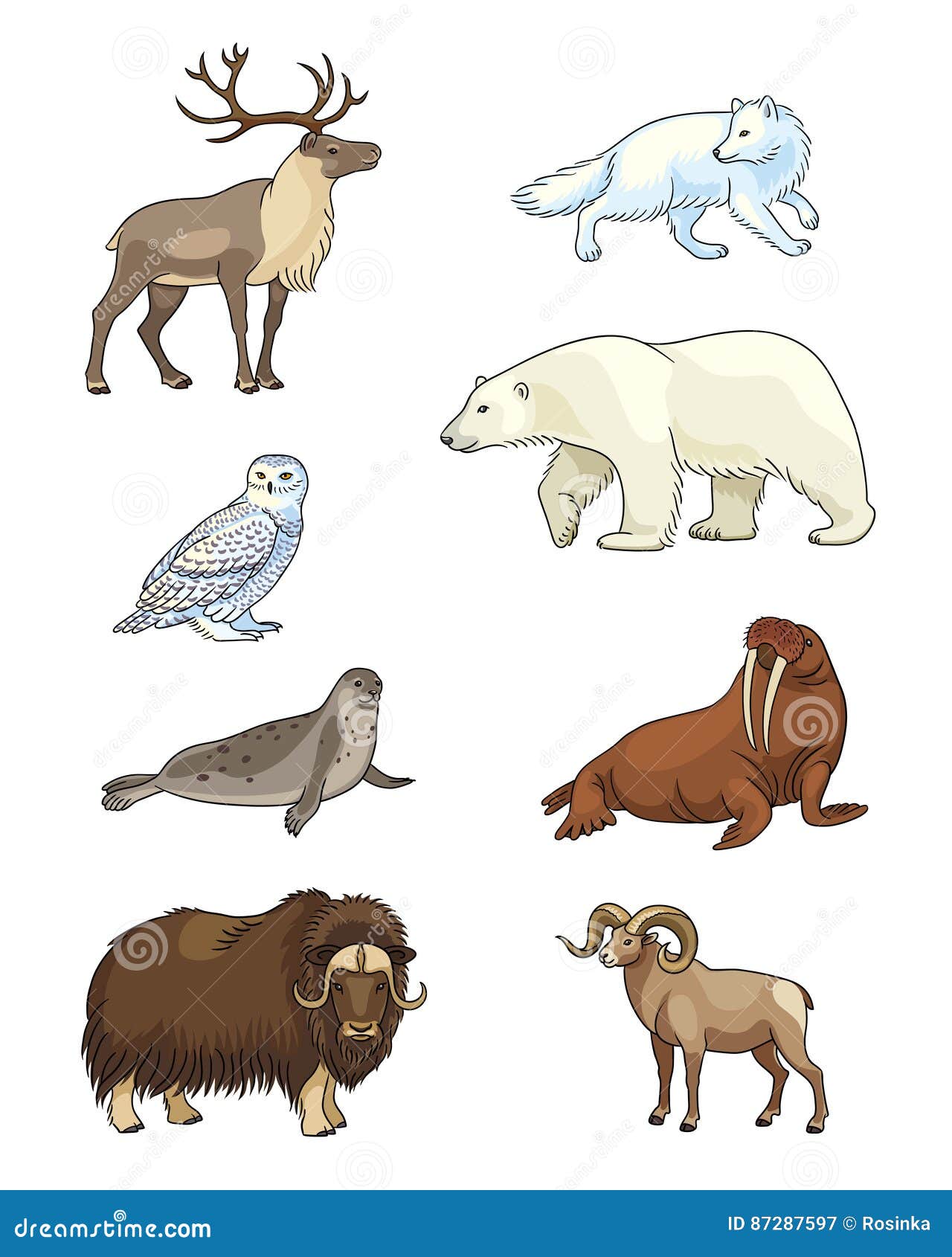 Set of Vector Arctic Animals Stock Vector - Illustration of brown ...