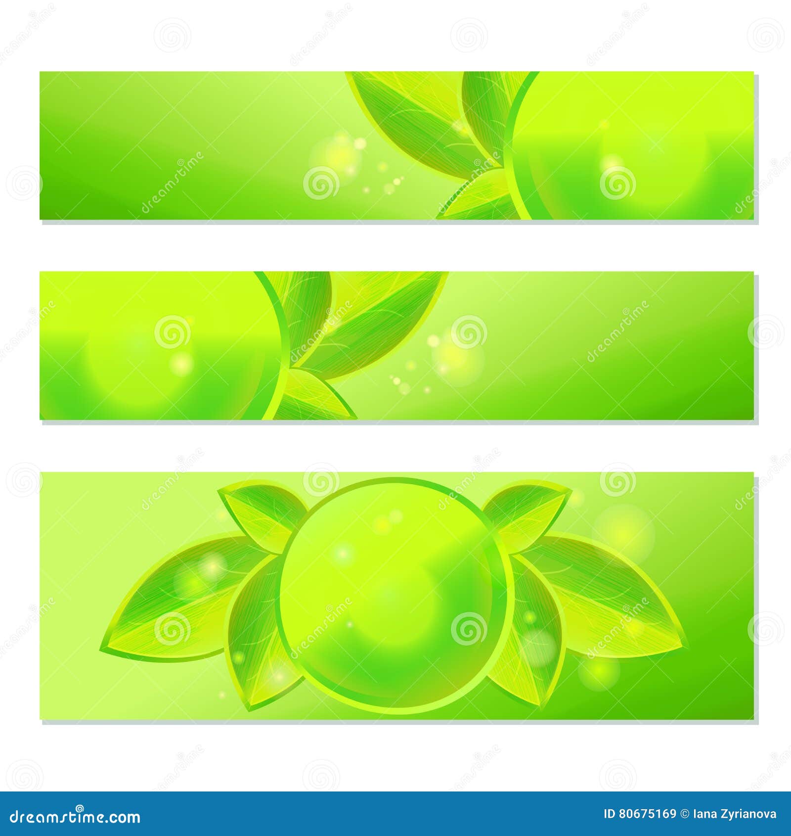 Set Of Vector  Banners  With Fresh Green Leaves Spring And 