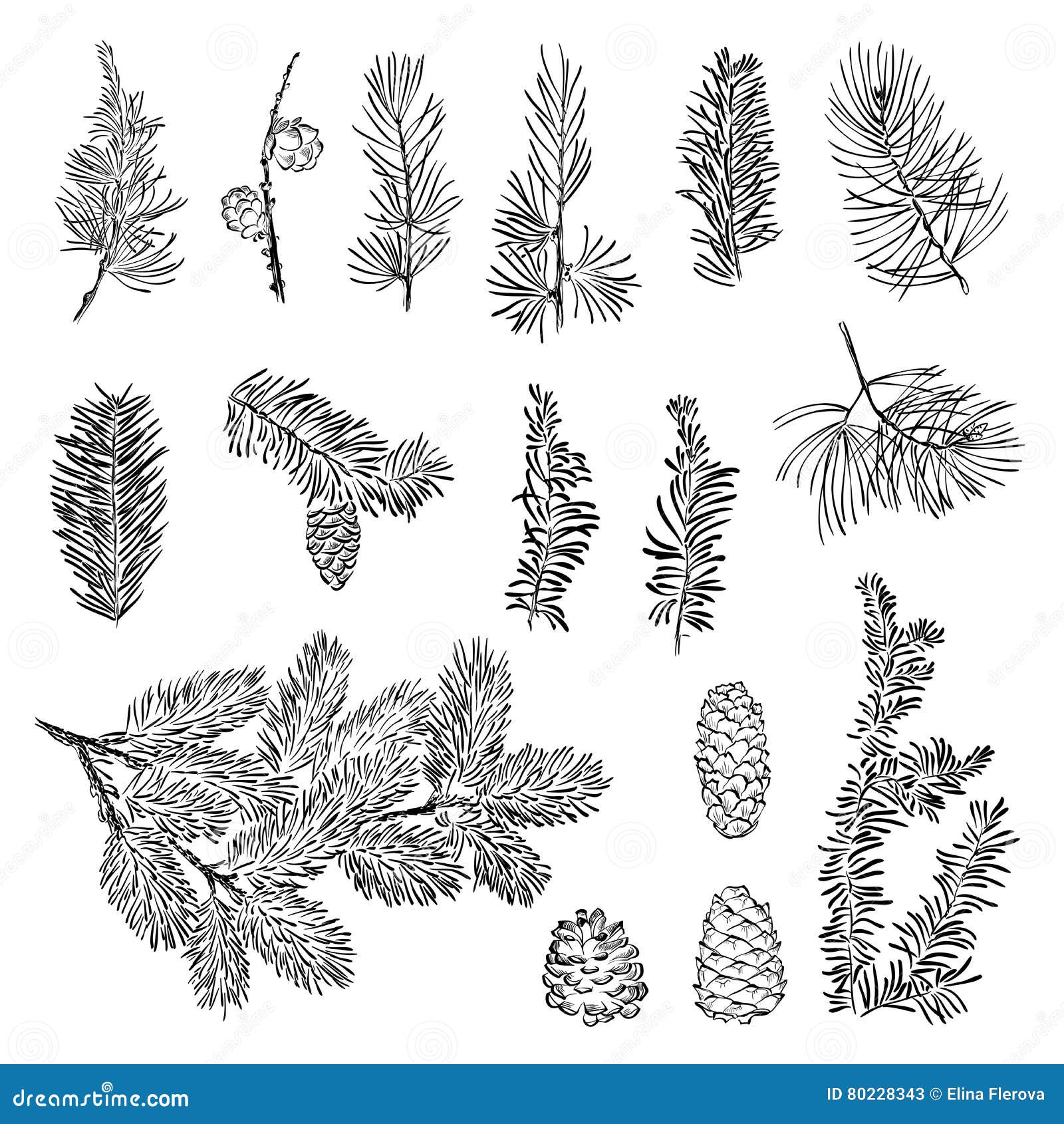 Download Set Vector Christmas Branch Stock Vector - Illustration of ...