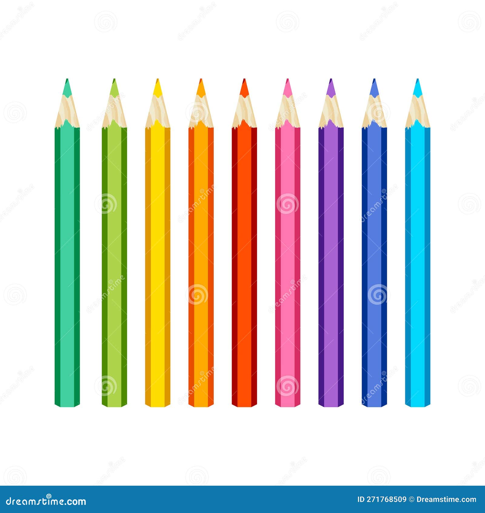 Set of Vector Colored Pencils Realistic Set Pencils for Draw in