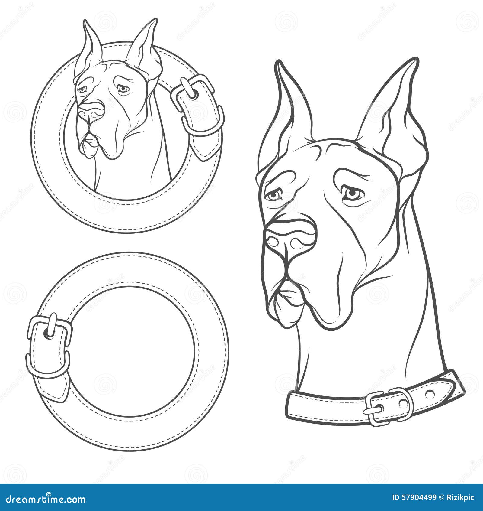 A Set of Vector Drawing of the Dog in the Collar. EPS10 Stock Vector