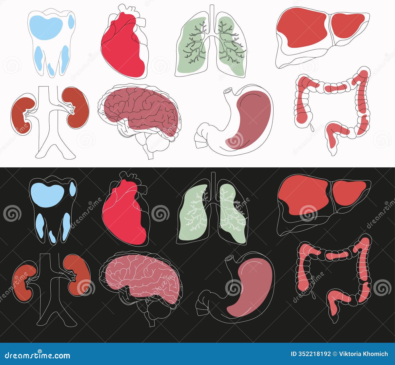 set of  icons related to human organs