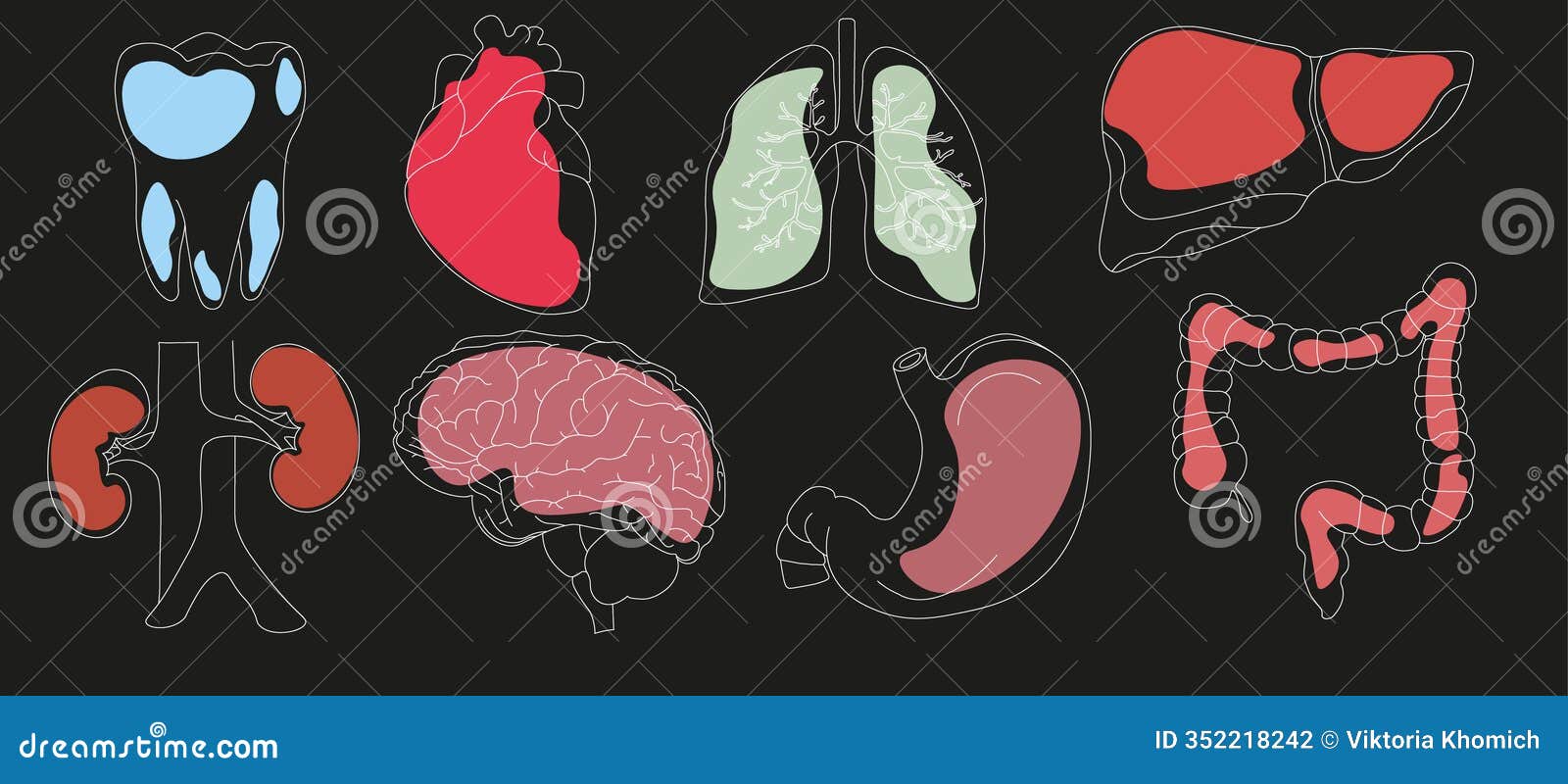 set of  icons related to human organs