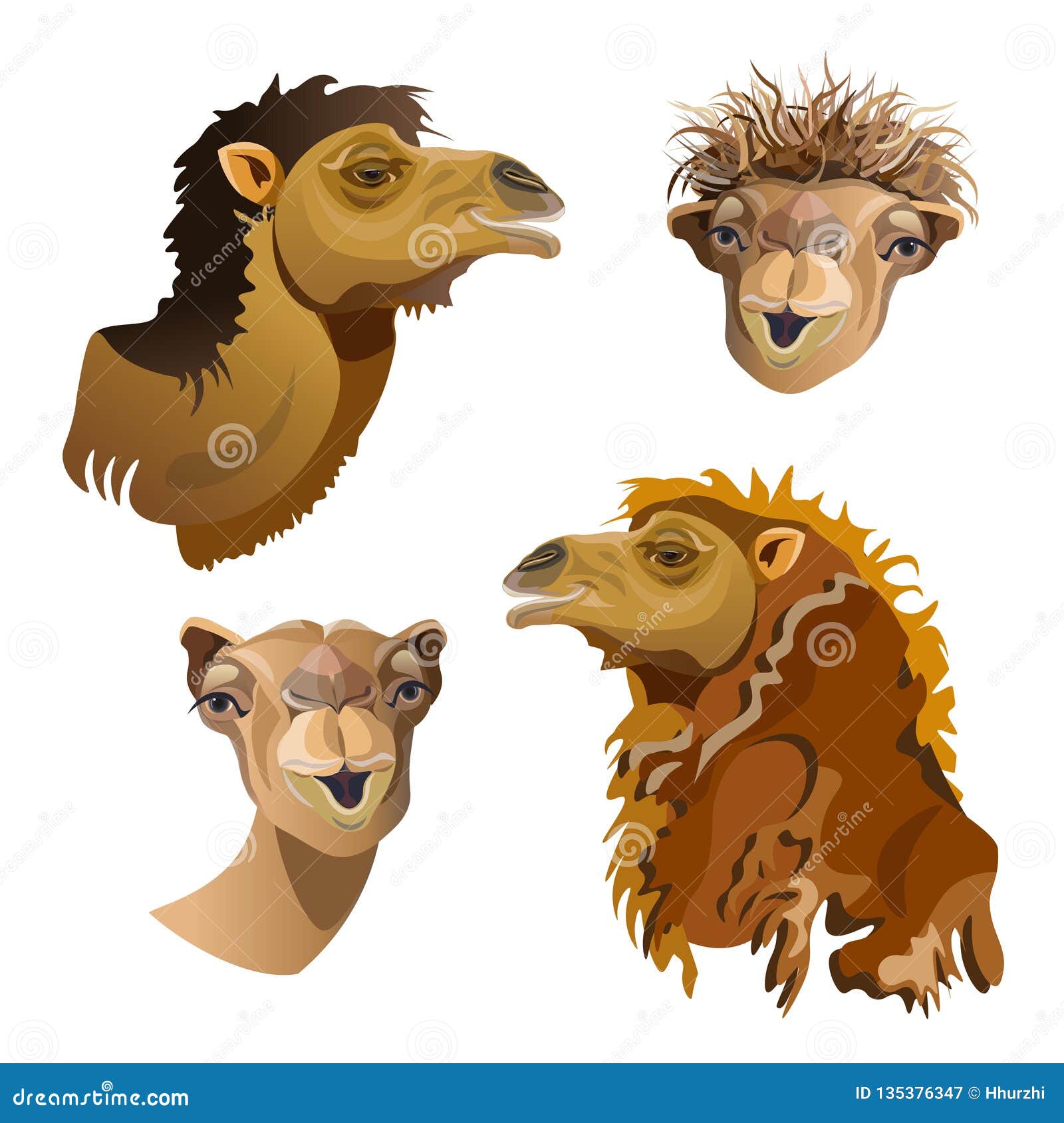 Head of camel set stock vector. Illustration of draft 135376347