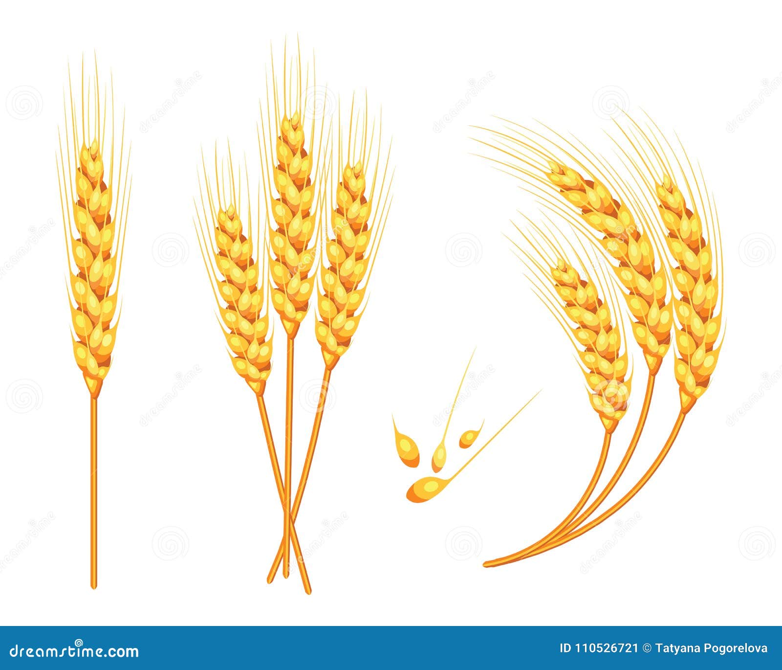 Set of Vector Wheat in 3d Isolated White Background with Seed Addition ...