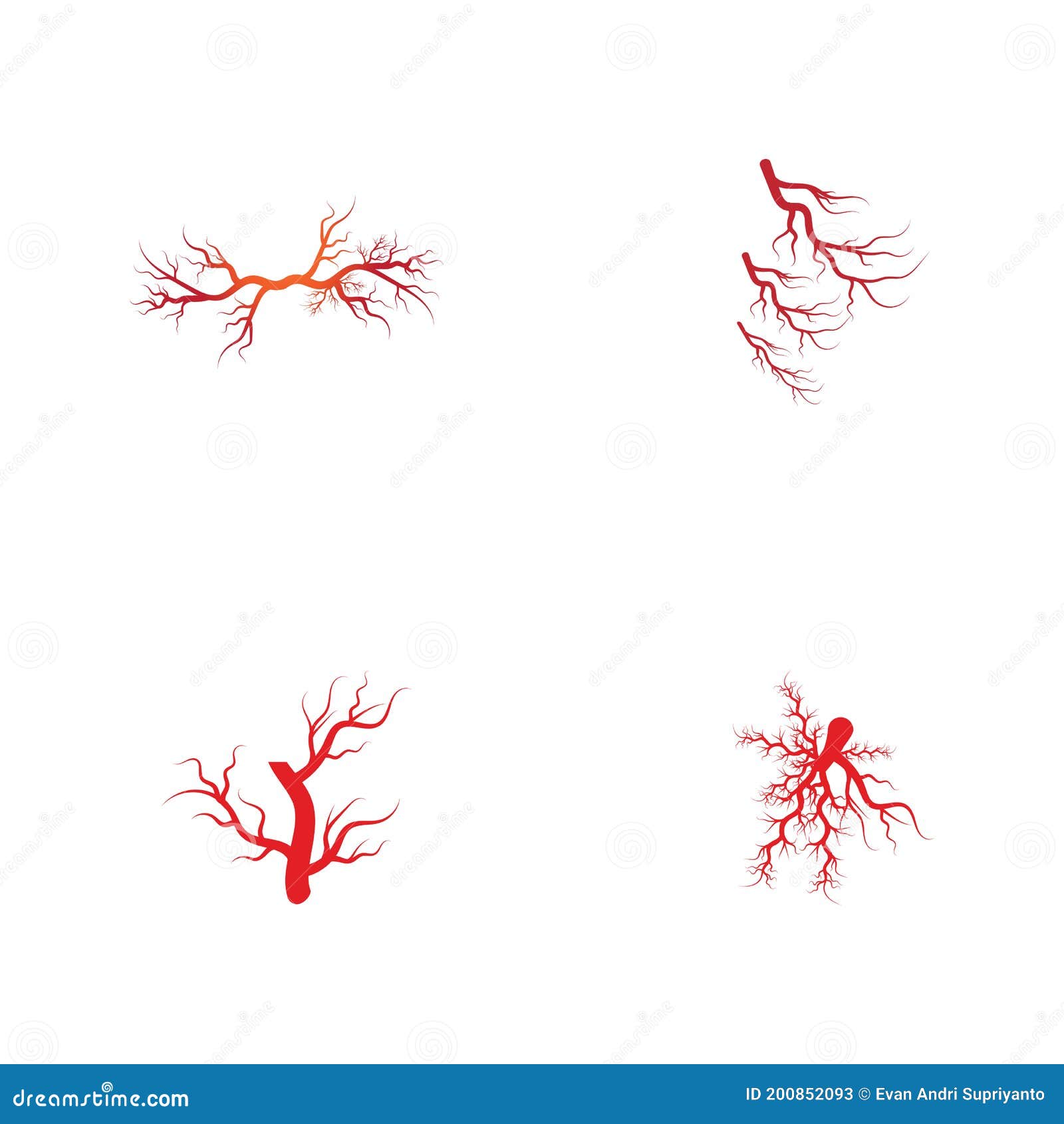 Set Veins Logo Template Vector Symbol Stock Illustration - Illustration ...