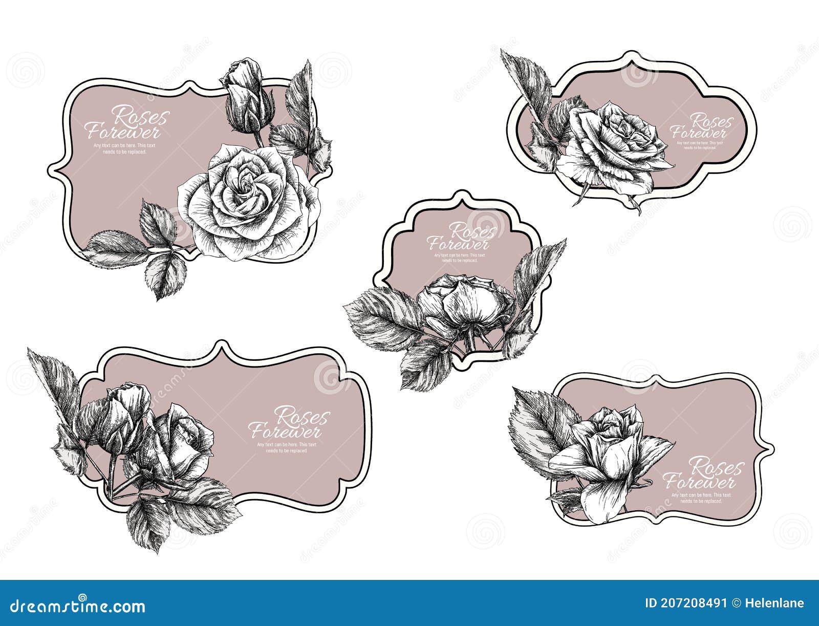 Set of Vintage Labels with Rose Flowers. Stock Vector - Illustration of ...