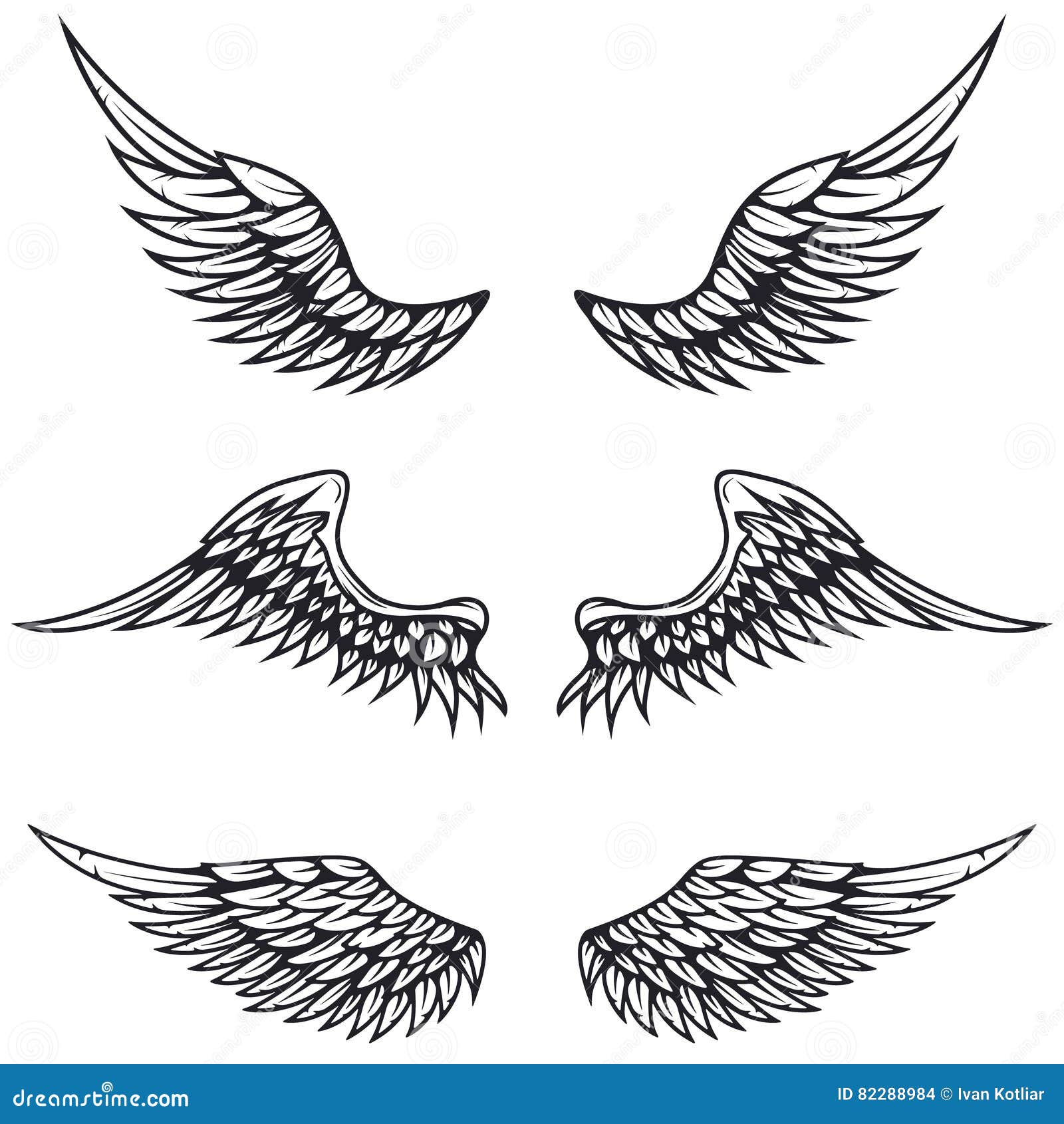 Set Of Vintage Vector Wings Isolated On White Background. Design Stock ...