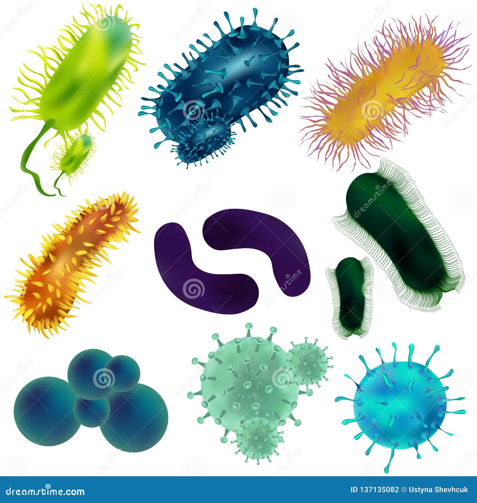 Set of Viruses and Bacteria Isolated Against a Blom Background. Viruses