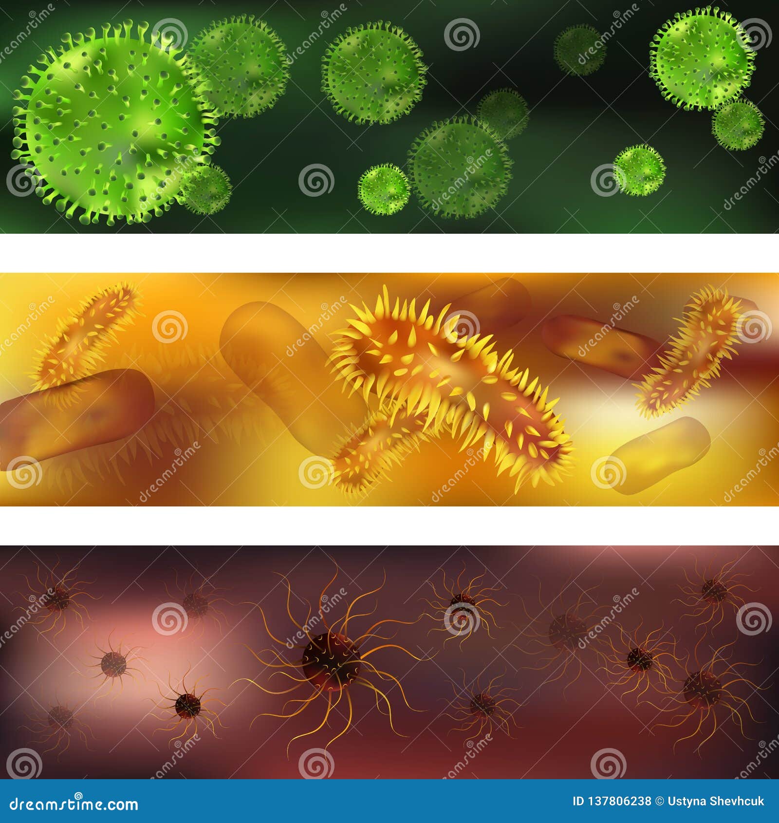 A Set of Viruses and Bacteria. Viruses and Bacteria Under the