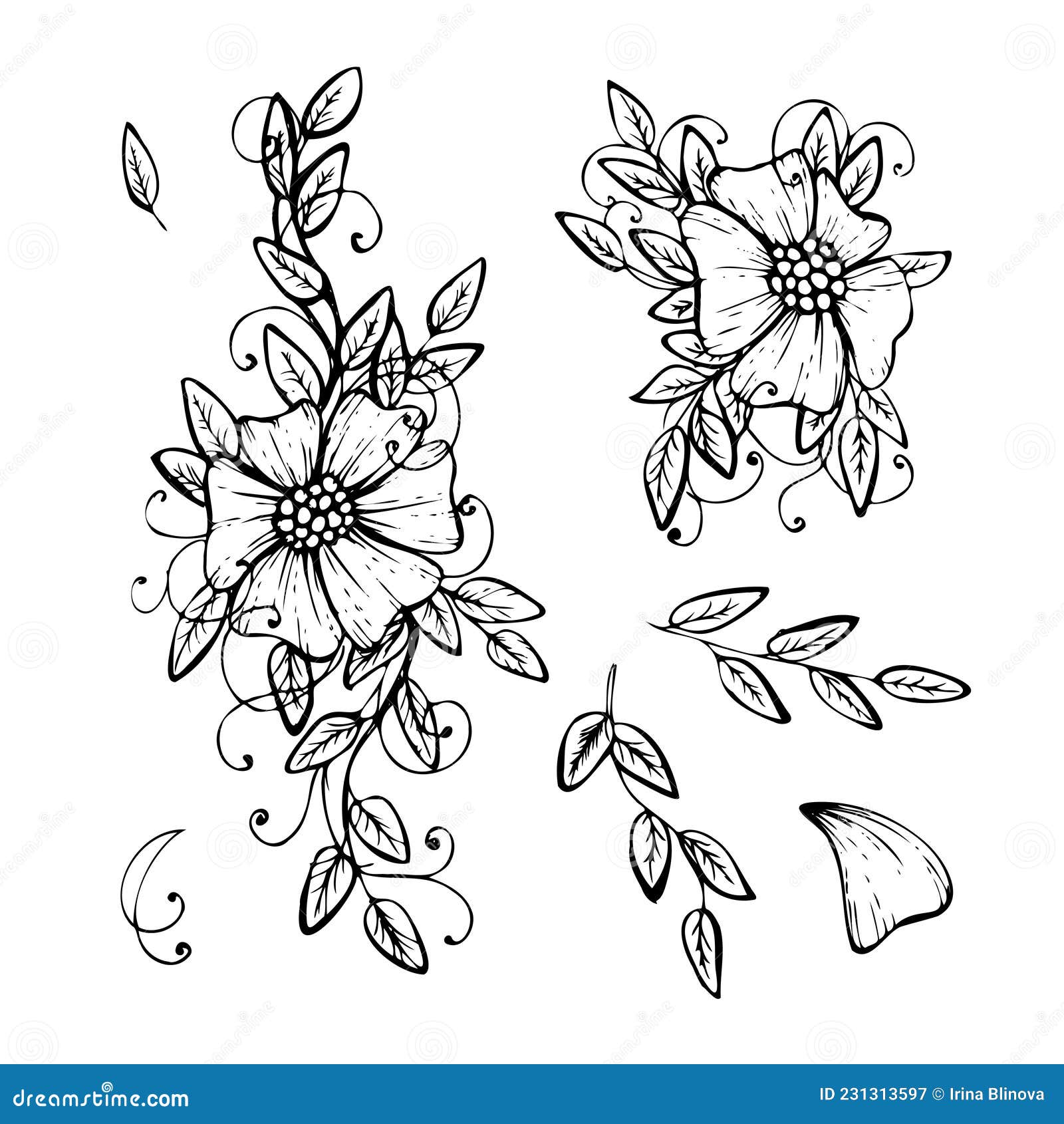 Set Von Objekten Skizzieren Handgezeichnete Linien Textur Blumen Sketch ...