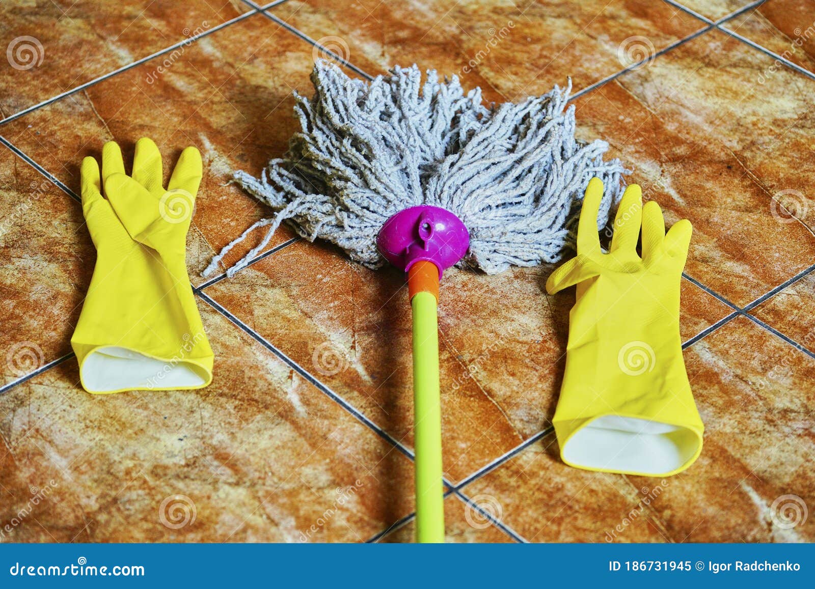 Set for Washing. Mop and Gloves Editorial Image Image of brush