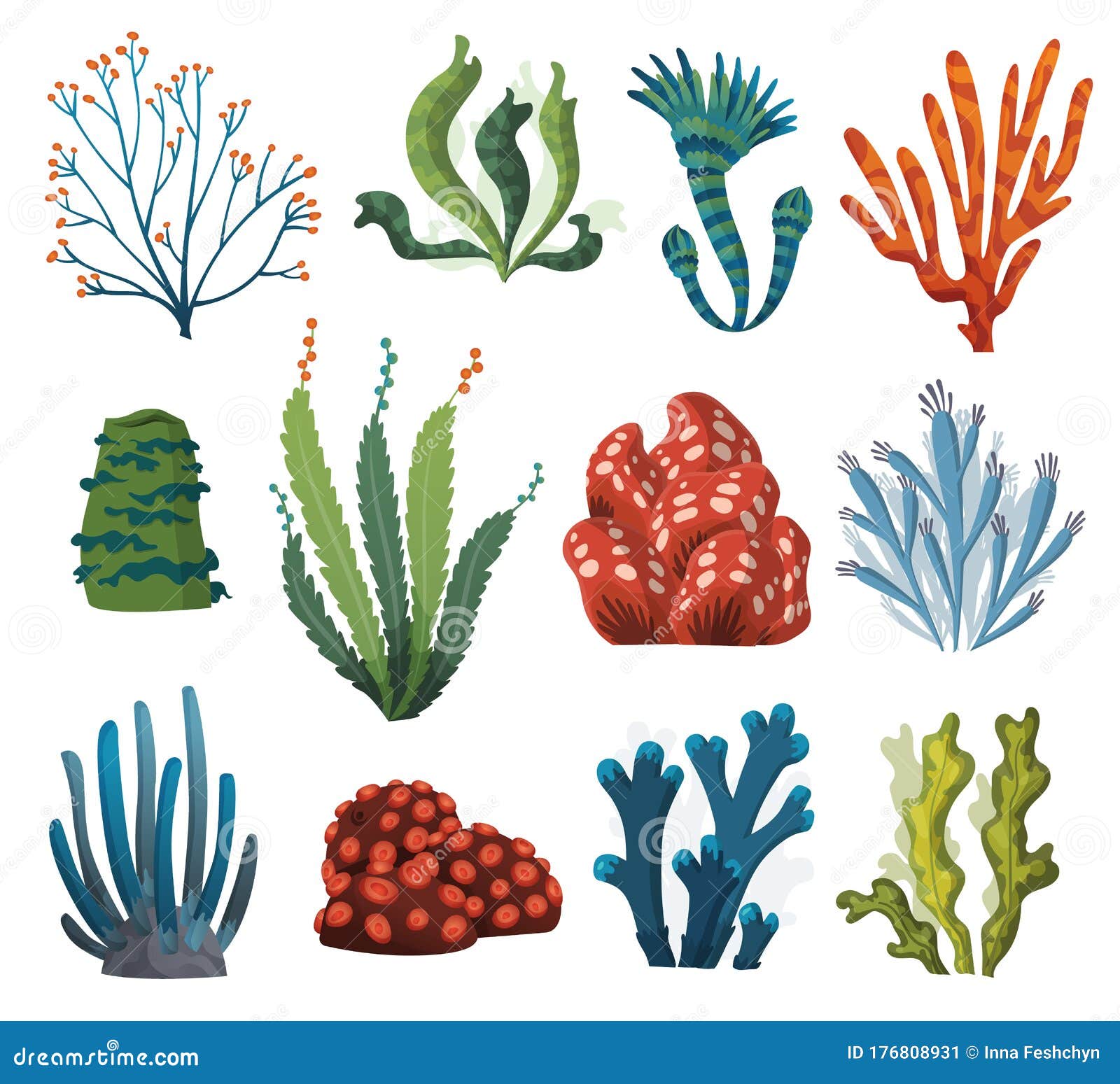 Set of Watercolor Seaweed and Corals Isolated on White Background ...