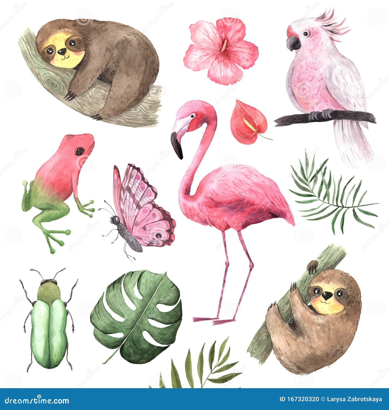 Set of Watercolor Tropical Animals and Birds Stock Photo - Image of frog, flamingo: 167320320 Set of Watercolor Tropical Animals and Birds Stock Photo - Image of frog, flamingo: 167320320