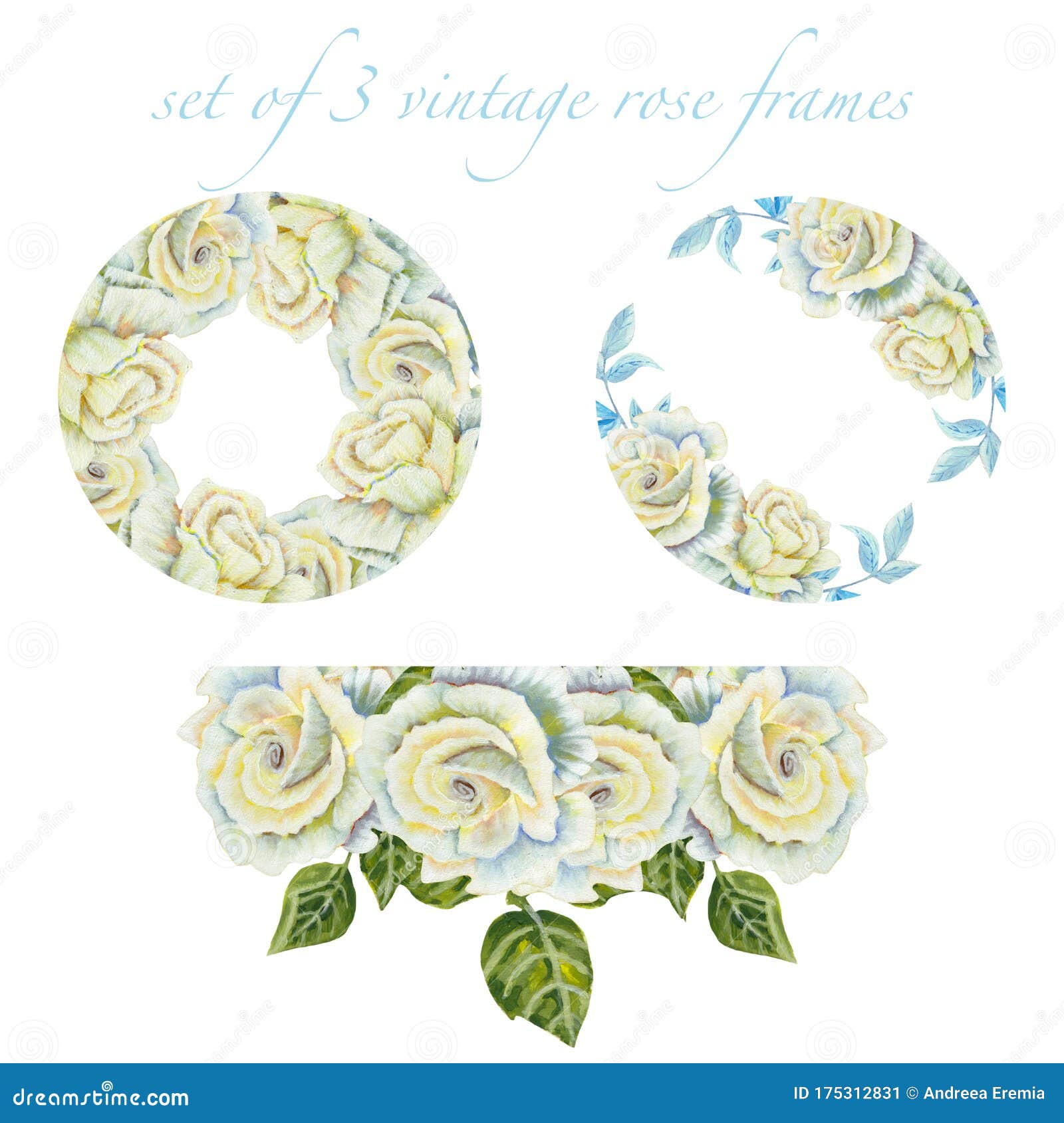 rose frameset