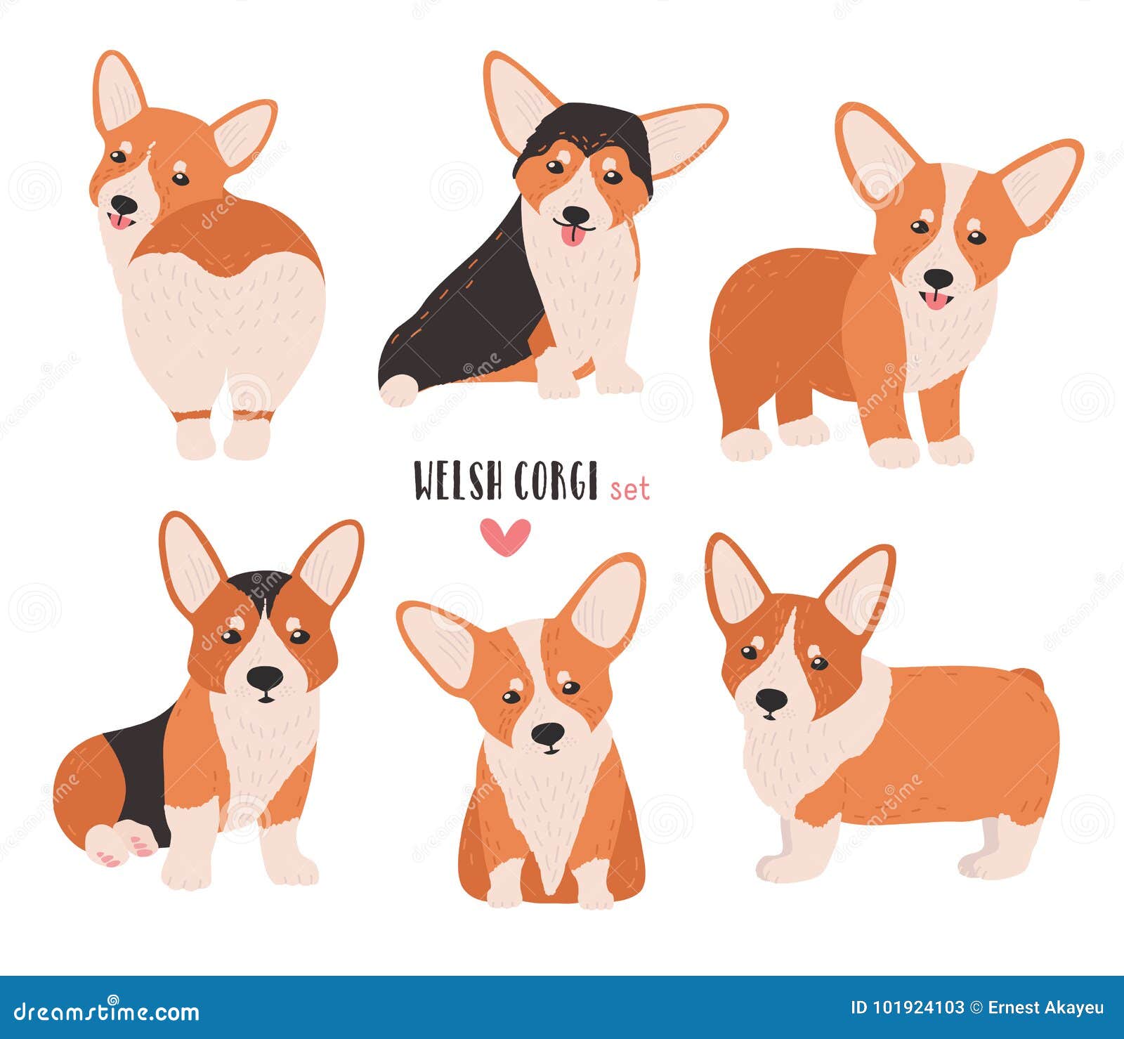 Png Herding Dog Breeds Clipart Farming Dogs Shepherds Sweden | lupon.gov.ph