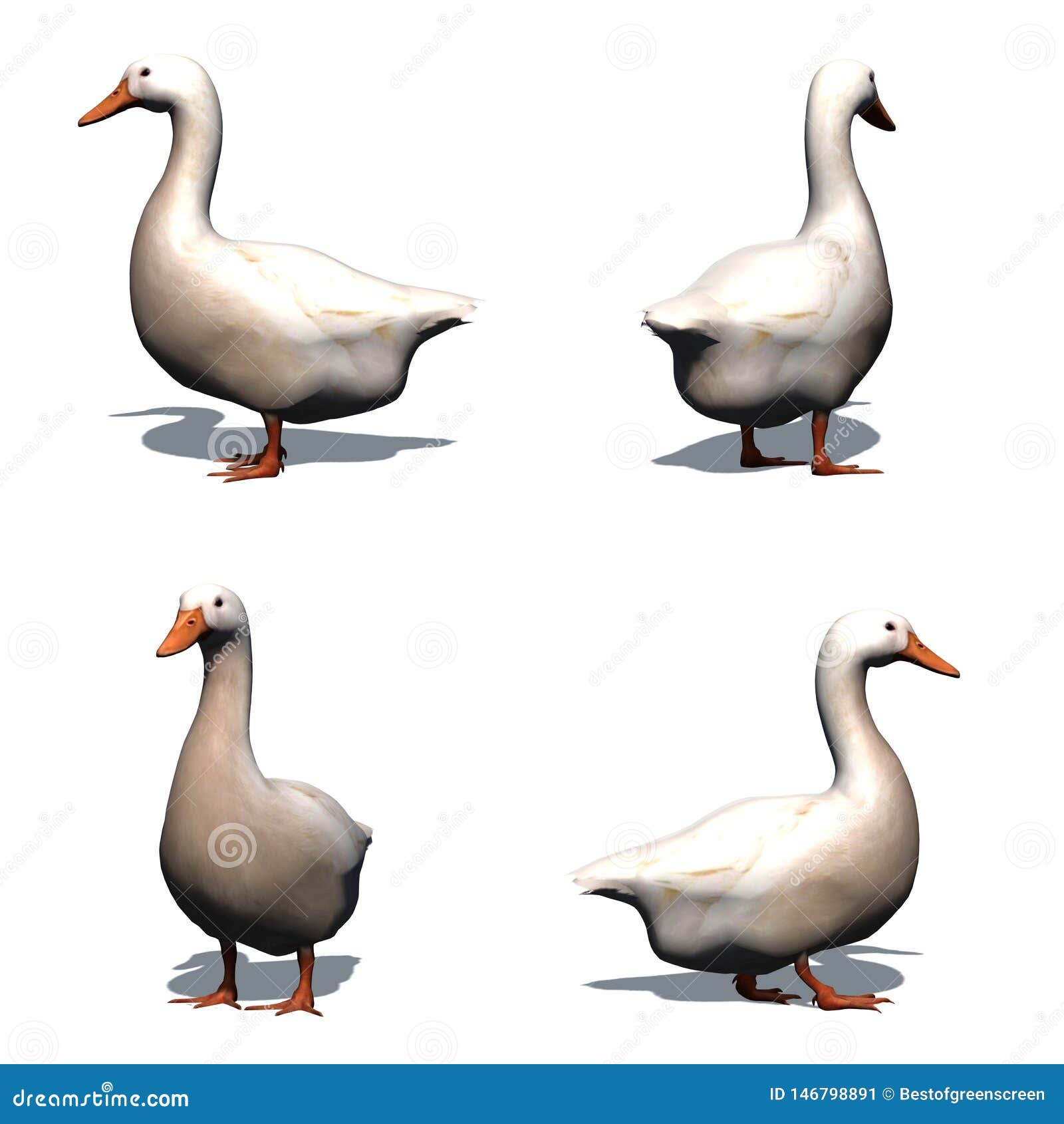 grey goose logo vx 300dpi grey goose logo vx 300dpi